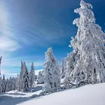 Amazing In *