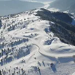 Amazing In * Weisspriach